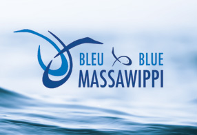 Bleu Massawippi